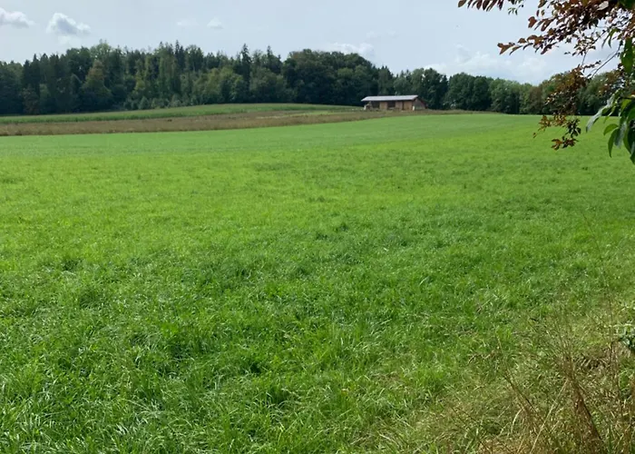 Maya Appartement Oberwindach